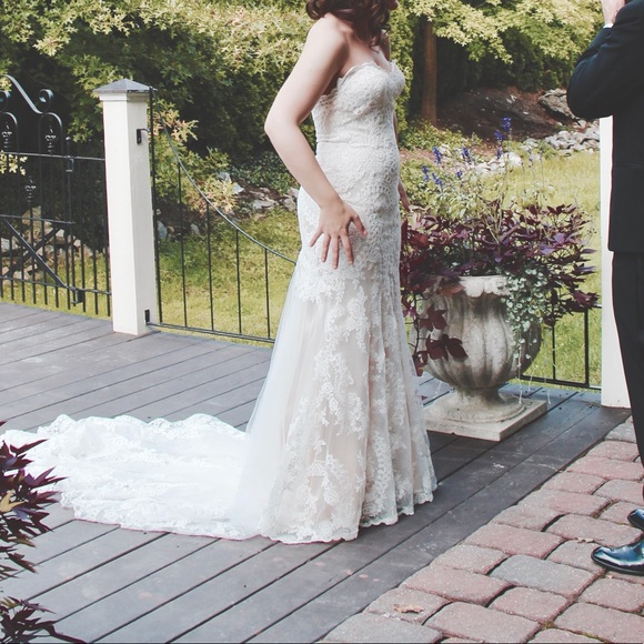 Eddy K Wedding dress - Picture 6 of 8